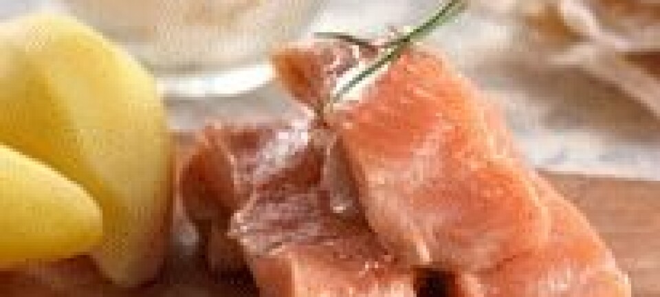 I dag er rakfisken hovedsakelig et sesongsprodukt. (Foto: Mari Svenningsen, Opplysningskontoret for kjøtt)