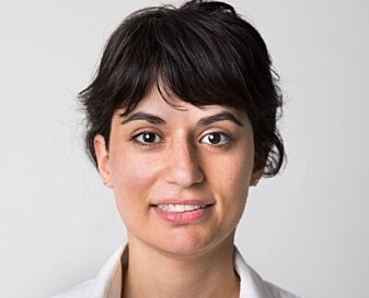 Naghmeh Nasiritousi er forsker ved Stockholms Universitet. Naghmeh Nasiritousi er forsker ved Stockholms Universitet.