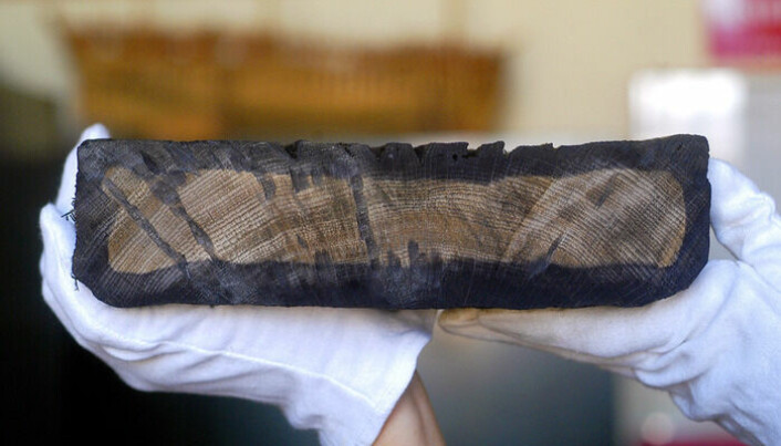 Denne plankebiten er av eik, hentet fra «Batavia» i 2004. Tidligere brukte forskerne hele plankebiter som prøver. Nå har de funnet mer skånsomme metoder.