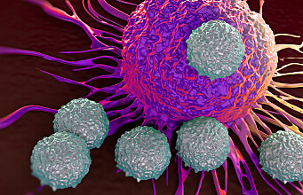 Creating cells that kill cancer more effectively