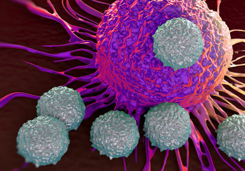 Creating cells that kill cancer more effectively