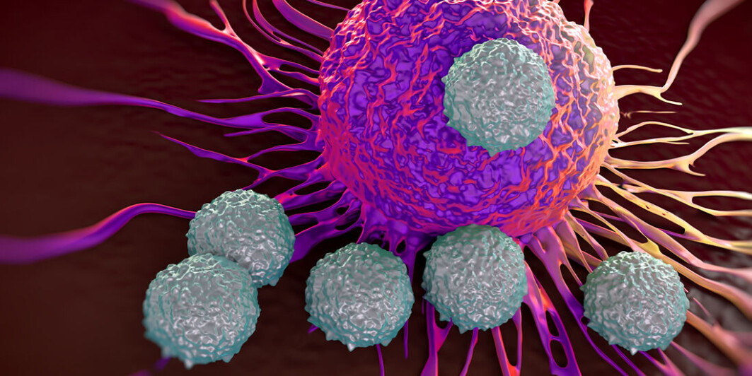 T cells attack a cancer cell. T cells attack a cancer cell.