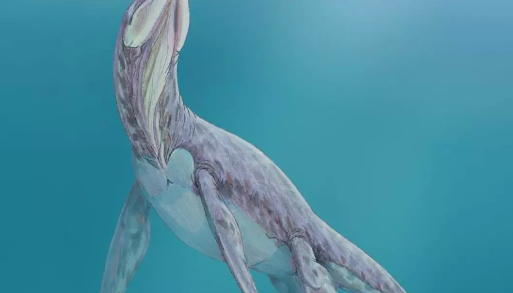 Om pliosaurer