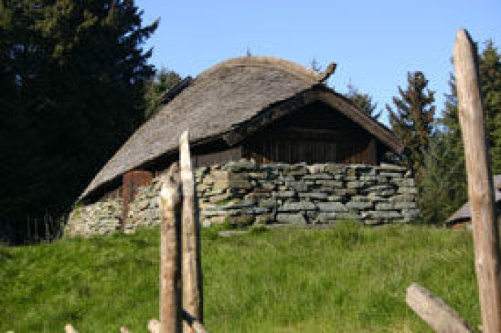 Avaldsnes er en av de norske kongsgårdene vi kjenner. (Foto: Ørjan B. Iversen) Avaldsnes er en av de norske kongsgårdene vi kjenner. (Foto: Ørjan B. Iversen)