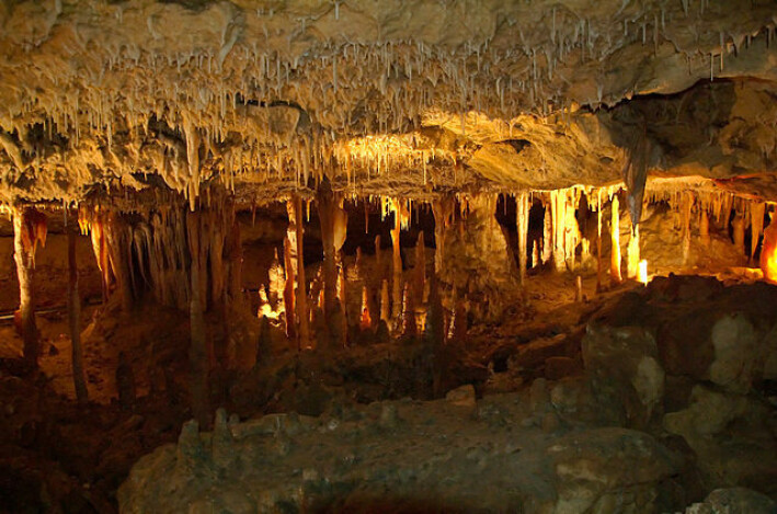 Dryppstein i Naracoorte-grottene i Australia. Dryppstein i Naracoorte-grottene i Australia.
