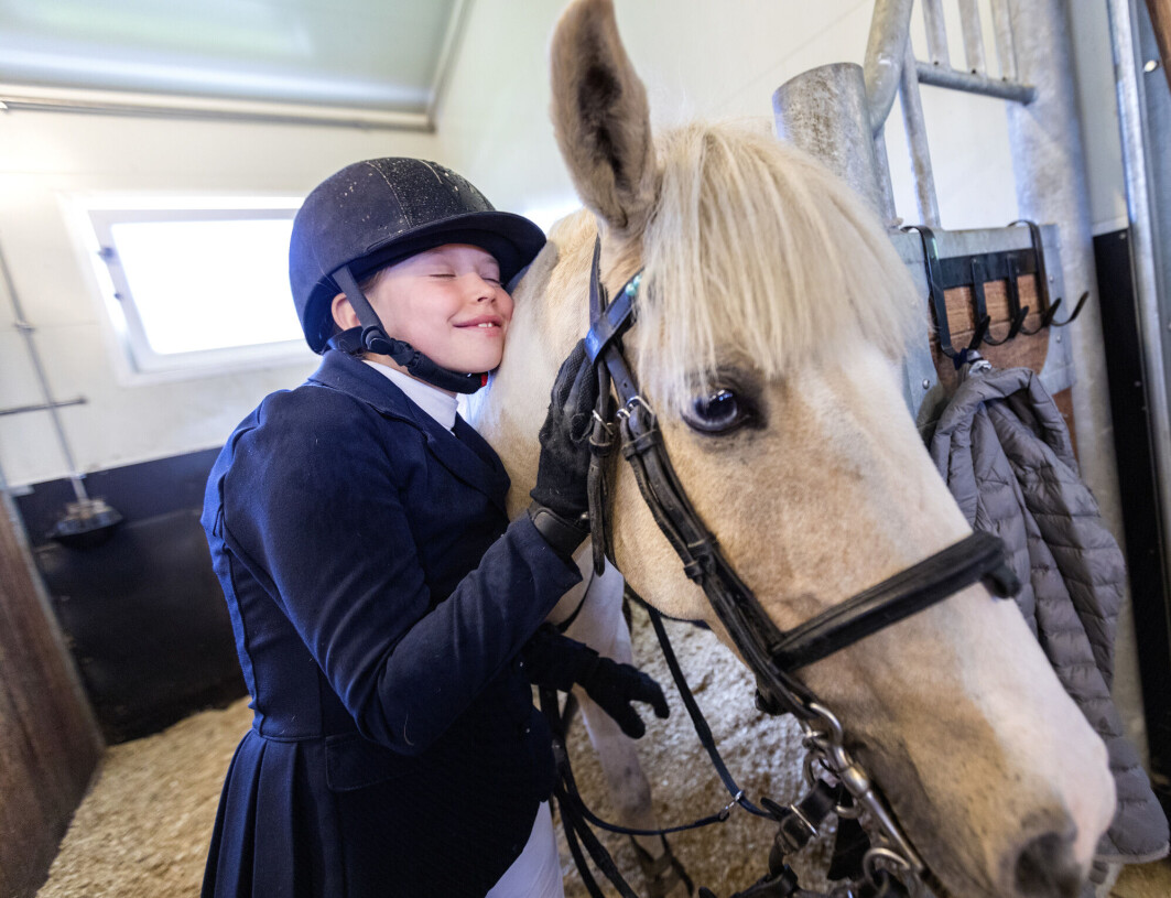 Det er viktig å vite om hesten har det vondt, slik at veterinærene kan gi dem smertestillende. Det er viktig å vite om hesten har det vondt, slik at veterinærene kan gi dem smertestillende.