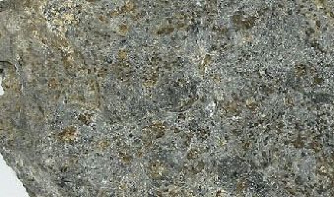 Peridotitt. (Foto: http://www.mineraly.sk / Wikimedia Commons) Peridotitt. (Foto: http://www.mineraly.sk / Wikimedia Commons)