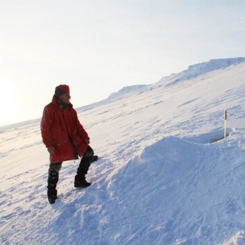 Thor S. Larsen ved hi nr. 31 i Bogen, området med størst hitetthet. (Foto: Øystein Overrein/Norsk Polarinstitutt) Thor S. Larsen ved hi nr. 31 i Bogen, området med størst hitetthet. (Foto: Øystein Overrein/Norsk Polarinstitutt)