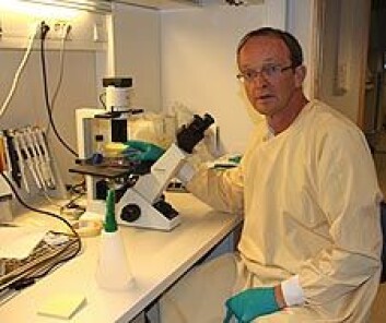 Professor Rolf Bjerkvigs forskningsgruppe kan ha satt et helt forskningsfelt tilbake på rett spor gjennom en intern kvalitetskontroll på laboratoriet. (Foto: Åse Johanne Roti Dahl) Professor Rolf Bjerkvigs forskningsgruppe kan ha satt et helt forskningsfelt tilbake på rett spor gjennom en intern kvalitetskontroll på laboratoriet. (Foto: Åse Johanne Roti Dahl)