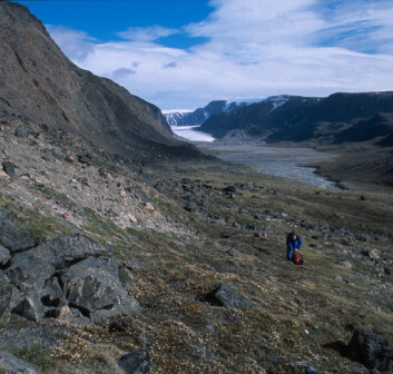 "Dette unike steppeområdet på Svalbard kan forsvinne om klimaet blir våtere. Det krever veldig spesielle levevilkår med mye vind og tørt jordsmonn. (Foto: Privat)" "Dette unike steppeområdet på Svalbard kan forsvinne om klimaet blir våtere. Det krever veldig spesielle levevilkår med mye vind og tørt jordsmonn. (Foto: Privat)"