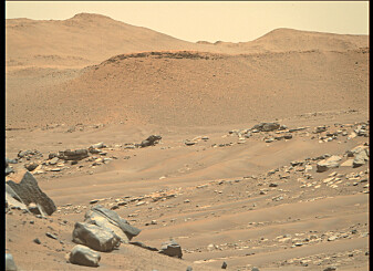 Overflaten på Mars er foreløpig ubeboelig for mennesker. Bildet er tatt av roveren <span class=" italic" data-lab-italic_desktop="italic">Preseverance </span>i september i år. Overflaten på Mars er foreløpig ubeboelig for mennesker. Bildet er tatt av roveren <span class=" italic" data-lab-italic_desktop="italic">Preseverance </span>i september i år.