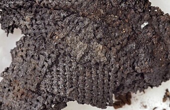 You’re looking at one of the oldest pieces of cloth in the world