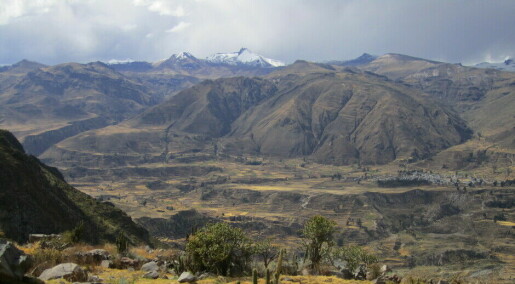 Småbønder i Peru taper på klimaendringar og modernisering