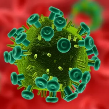 HIV-virus (human immunodeficiency virus). (Kilde: Istockphoto)