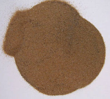 Mineralet monazitt, som inneholder de største forekomstene av thorium i verden. I Fensfeltet er det mineralet derimot raubergitt som inneholder thorium. (Foto: U.S. Geological Survey) Mineralet monazitt, som inneholder de største forekomstene av thorium i verden. I Fensfeltet er det mineralet derimot raubergitt som inneholder thorium. (Foto: U.S. Geological Survey)