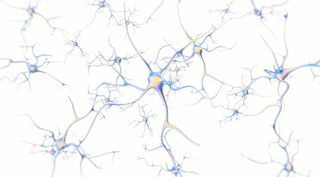 Parkinson's disease is caused by a gradual loss of a type of nerve cells, or neurons as they are also called, which produce dopamine. Researcher Tanima Sengupta believes that the age-related loss of neurons is not something we must accept as an inevitable side effect of ageing, but that we can protect the nerve cells. Parkinson's disease is caused by a gradual loss of a type of nerve cells, or neurons as they are also called, which produce dopamine. Researcher Tanima Sengupta believes that the age-related loss of neurons is not something we must accept as an inevitable side effect of ageing, but that we can protect the nerve cells.