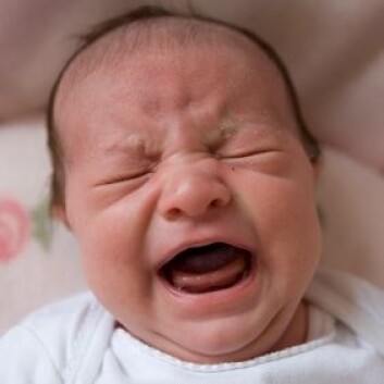 "(Foto: Istockphoto)" "(Foto: Istockphoto)"