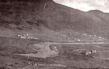 Synnerdalen i Budal, 1914: et fullstendig nedbeita seterlandskap. (Foto: Trøndelag folkemuseum) Synnerdalen i Budal, 1914: et fullstendig nedbeita seterlandskap. (Foto: Trøndelag folkemuseum)