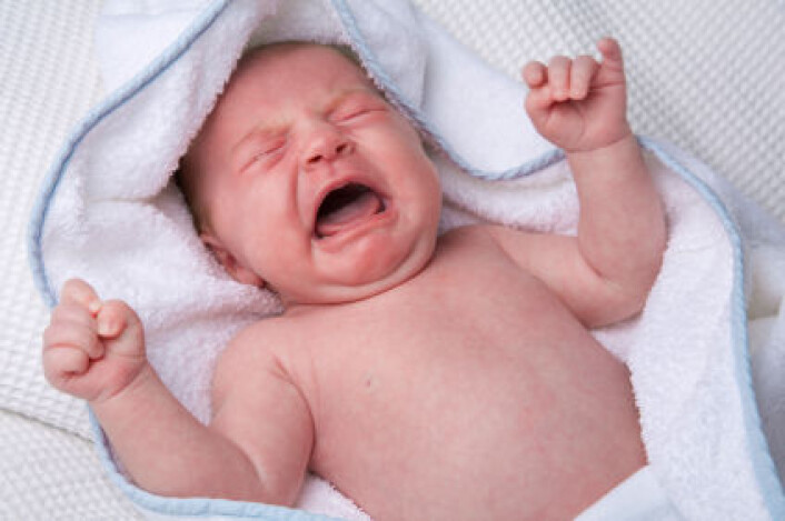 "Trener til et langt liv med språket i sin makt? (Foto: Istockphoto)" "Trener til et langt liv med språket i sin makt? (Foto: Istockphoto)"