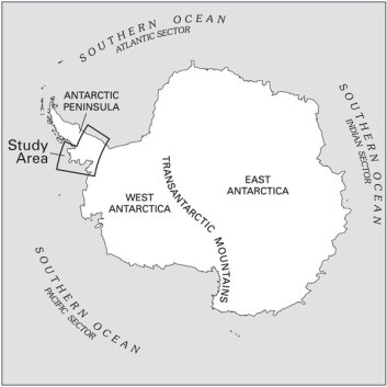 "Kartet viser området som er med i studien av issmelting i Antarktis. (Figur: U.S. Geological Survey)" "Kartet viser området som er med i studien av issmelting i Antarktis. (Figur: U.S. Geological Survey)"