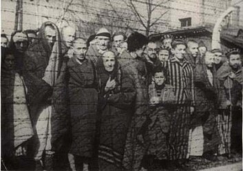 "Sigurd Skirbekk benekter ikke at Holocaust skjedde. Bildet er gjengitt med tillatelse fra Yad Vashem - The Holocaust Martyrs' and Heroes' Remembrance Authority." "Sigurd Skirbekk benekter ikke at Holocaust skjedde. Bildet er gjengitt med tillatelse fra Yad Vashem - The Holocaust Martyrs' and Heroes' Remembrance Authority."