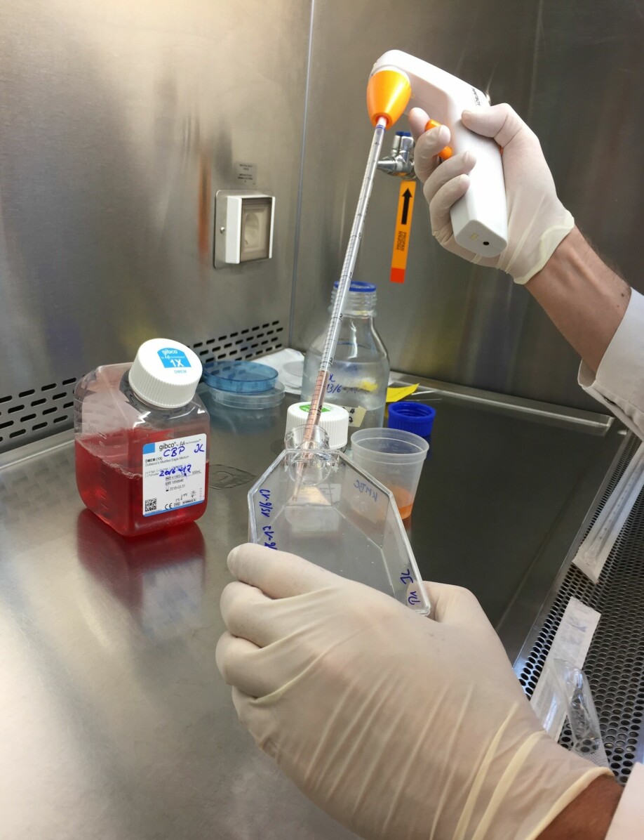 I forsøkene ble 400 substanser fra et unikt bibliotek over kreftmedisiner testet på levende kreftceller.