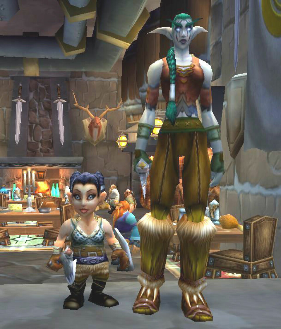 'En viss høydeforskjell på alver og gnomer i World of Warcraft. (Screenshot: Blizzard)'
