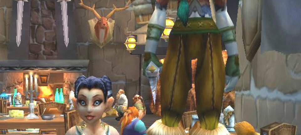 "En viss høydeforskjell på alver og gnomer i World of Warcraft. (Screenshot: Blizzard)"