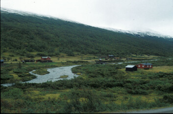 Synnerdalen i Budal, 1994: et snart gjengrodd seterlandskap. (Foto: Gunnar Austrheim) Synnerdalen i Budal, 1994: et snart gjengrodd seterlandskap. (Foto: Gunnar Austrheim)