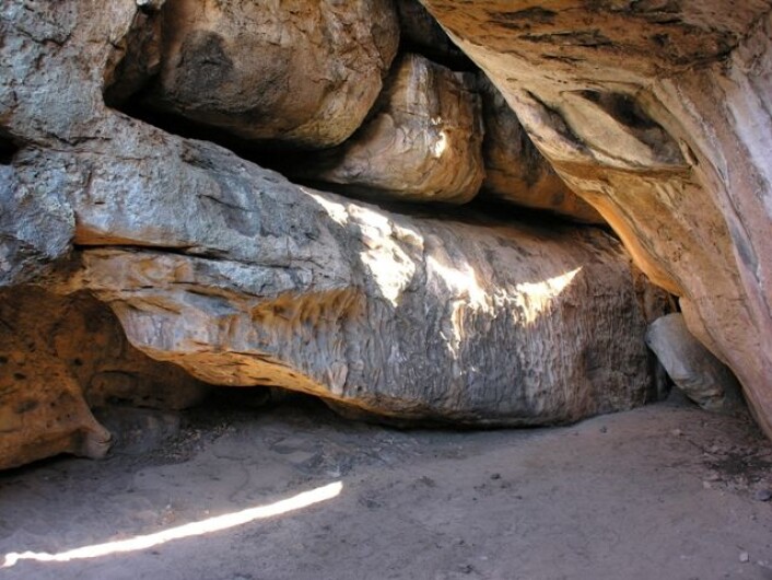 En slangegud? Steinfiguren som kommer ut fra veggen i hulen i Tsodilo Hills har forundret forskerne. Det er hugget et skjelliknende mønster bakover på kroppen. - I flakkende lys om natten kom øynene og mønsteret enda bedre fram, og det kunne se ut som figuren buktet seg, sier Sheila Coulson. (Foto: Sheila Coulson) En slangegud? Steinfiguren som kommer ut fra veggen i hulen i Tsodilo Hills har forundret forskerne. Det er hugget et skjelliknende mønster bakover på kroppen. - I flakkende lys om natten kom øynene og mønsteret enda bedre fram, og det kunne se ut som figuren buktet seg, sier Sheila Coulson. (Foto: Sheila Coulson)