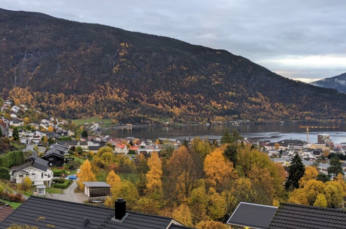 Norske tettstadar ligg gjerne tett på naturen. Men gode bumiljø for folk og dyr er likevel avhengige av at vi tek vare på dei små skogkrullane som står att mellom hus og vegar. Bildet viser Haugen i Sogndal sentrum i haustdrakt. Foto: Inger Auestad Norske tettstadar ligg gjerne tett på naturen. Men gode bumiljø for folk og dyr er likevel avhengige av at vi tek vare på dei små skogkrullane som står att mellom hus og vegar. Bildet viser Haugen i Sogndal sentrum i haustdrakt. Foto: Inger Auestad