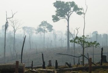 Det er usannsynlig at man kan fastholde vekst i BNP hvis man for alvor skal ta fatt på problemene med klima og biologisk mangfold. Det er usannsynlig at man kan fastholde vekst i BNP hvis man for alvor skal ta fatt på problemene med klima og biologisk mangfold.