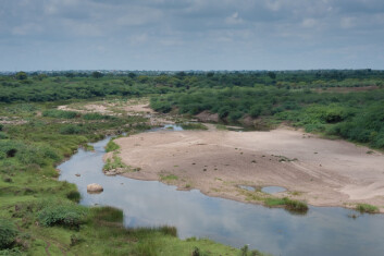 Fra området Andhra Pradesh som også har vært preget av ustabilitet i klimaet. Først med tørke store deler av sommeren og kraftig nedbør utenom sesong. (Foto: Ragnar Våga Pedersen) Fra området Andhra Pradesh som også har vært preget av ustabilitet i klimaet. Først med tørke store deler av sommeren og kraftig nedbør utenom sesong. (Foto: Ragnar Våga Pedersen)