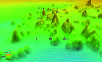 Gruppe av korallrev. Tallene viser høyden på noen av korallfjellene målt fra foten av fjellet. Havdyp på ca. 130-200 meter. (Illustrasjon: Statens kartverk Sjø/MAREANO) Gruppe av korallrev. Tallene viser høyden på noen av korallfjellene målt fra foten av fjellet. Havdyp på ca. 130-200 meter. (Illustrasjon: Statens kartverk Sjø/MAREANO)
