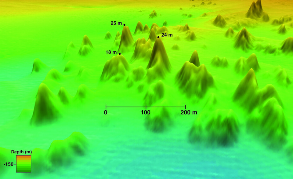 Gruppe av korallrev. Tallene viser høyden på noen av korallfjellene målt fra foten av fjellet. Havdyp på ca. 130-200 meter. (Illustrasjon: Statens kartverk Sjø/MAREANO)