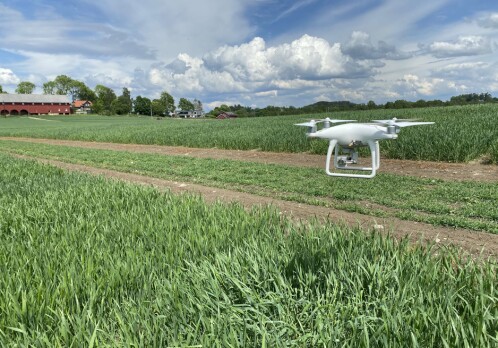 The digitization revolution with drones in agriculture