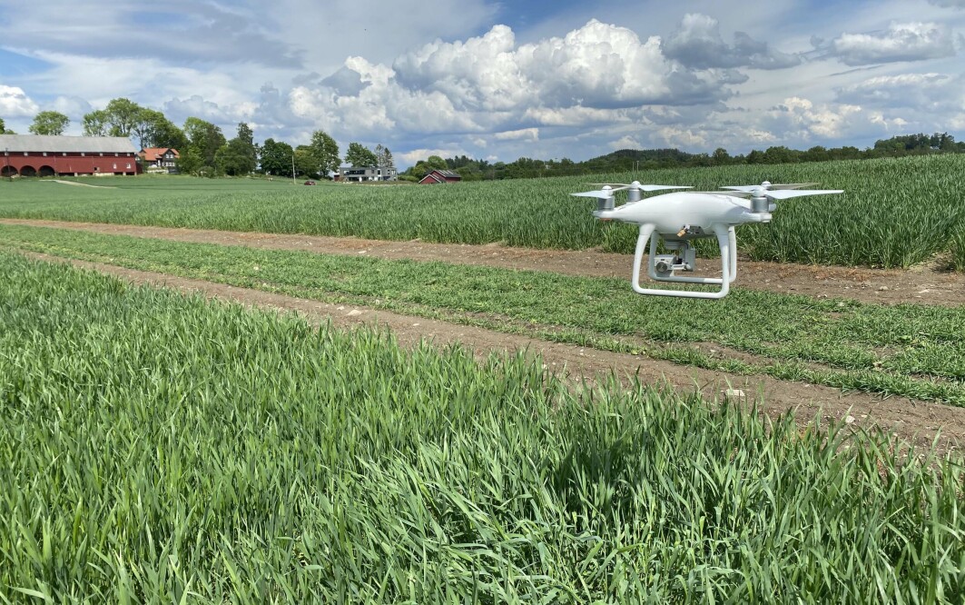 The drone with camera effectively records large amounts of information about the plants it hovers over. The drone with camera effectively records large amounts of information about the plants it hovers over.