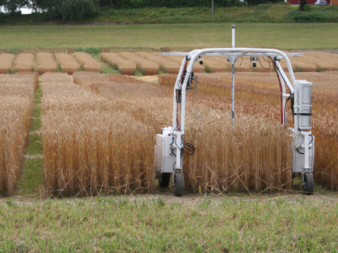 To get good close-ups, the researchers use the Thorvald robot, who scrolls through the field and takes pictures continuously. To get good close-ups, the researchers use the Thorvald robot, who scrolls through the field and takes pictures continuously.