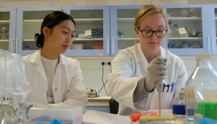 Studentene Linda Thuy Dieu Ngo (til venstre) og Hege Hovland tilbringer time etter time i laboratoriet.