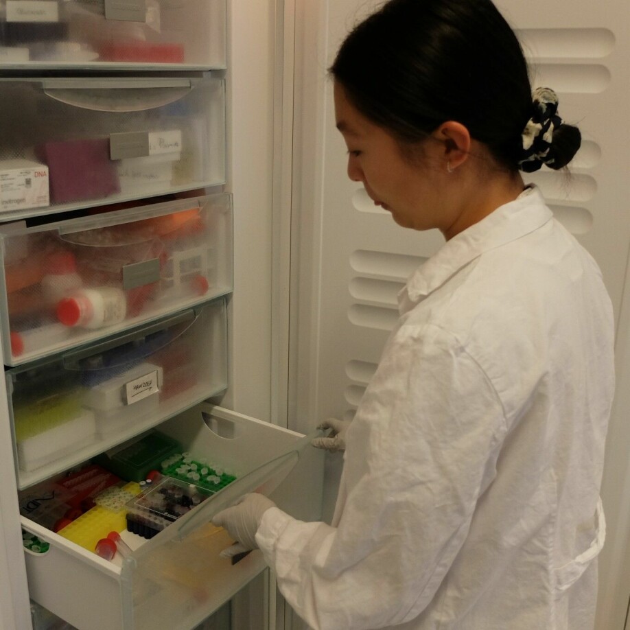 Linda Thuy Dieu Ngo og de andre studentene har sin egen skuff i fryseboksen på lab'en.