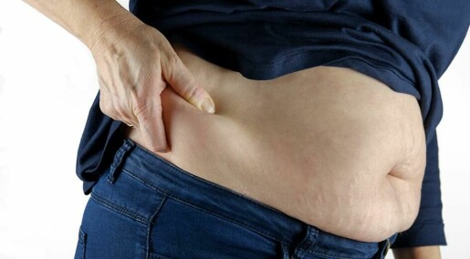 Musklar som forbrenn overflødig energi, kan bli ny behandling mot fedme