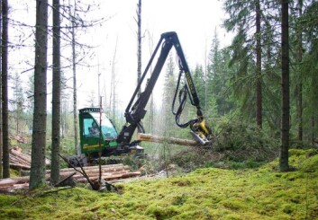 Skogen i Norge har lenge vokst raskere enn den hogges. Resultater er at vi får mer eldre skog, men upåvirket er den ikke. (Foto: Jørund Rolstad) Skogen i Norge har lenge vokst raskere enn den hogges. Resultater er at vi får mer eldre skog, men upåvirket er den ikke. (Foto: Jørund Rolstad)