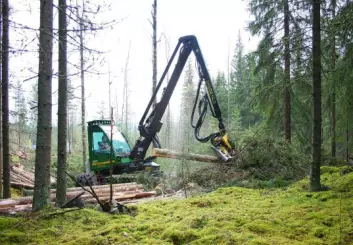 Skogen i Norge har lenge vokst raskere enn den hogges. Resultater er at vi får mer eldre skog, men upåvirket er den ikke. (Foto: Jørund Rolstad)