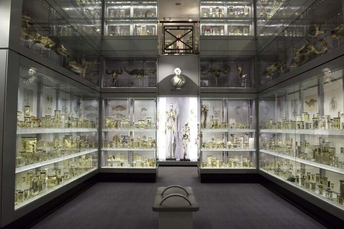 I de to etasjene i Krystallgalleriet ved Hunterian Museum står anatomiske og patologiske prøver på rekke og rad. De ble samlet inn av kirurgen og pioneren John Hunter (1728-1793). (© The Hunterian Museum at The Royal College of Surgeons) I de to etasjene i Krystallgalleriet ved Hunterian Museum står anatomiske og patologiske prøver på rekke og rad. De ble samlet inn av kirurgen og pioneren John Hunter (1728-1793). (© The Hunterian Museum at The Royal College of Surgeons)
