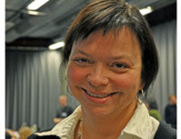 Forsker Karoline Daugstad mener forskningen på bruk av vernede naturområder bør koordineres bedre. (Foto: Mari Solerød) Forsker Karoline Daugstad mener forskningen på bruk av vernede naturområder bør koordineres bedre. (Foto: Mari Solerød)