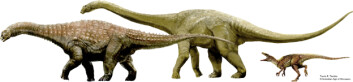 Kjøtteteren Banjo til høyre, (Australovenator wintonensis) og planteeterne Matilda (Diamantinasaurus matildae) og Clancy (Wintonotitan wattsi) i midten er her samlet på ett brett. (Tegning og copyright: Travis R. Tischler, Australian Age of Dinosaurs.) Kjøtteteren Banjo til høyre, (Australovenator wintonensis) og planteeterne Matilda (Diamantinasaurus matildae) og Clancy (Wintonotitan wattsi) i midten er her samlet på ett brett. (Tegning og copyright: Travis R. Tischler, Australian Age of Dinosaurs.)