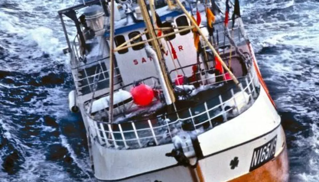 Mer torsk i Barentshavet