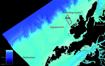 Plassering av området Hola utenfor Vesterålen. Området innenfor den røde rammen ble søkt frigitt av Forsvaret, for å kunne publisere detaljerte dybdedata. Hola er et dypvannsområde sørvest for Vesterålsgrunnen og ligger mellom de to grunne bankene Vesterålsgrunnen og Eggagrunnen. Svarte områder er ikke sjømålt med moderne multistrålemålinger. (Illustrasjon: Statens kartverk Sjø/MAREANO) Plassering av området Hola utenfor Vesterålen. Området innenfor den røde rammen ble søkt frigitt av Forsvaret, for å kunne publisere detaljerte dybdedata. Hola er et dypvannsområde sørvest for Vesterålsgrunnen og ligger mellom de to grunne bankene Vesterålsgrunnen og Eggagrunnen. Svarte områder er ikke sjømålt med moderne multistrålemålinger. (Illustrasjon: Statens kartverk Sjø/MAREANO)