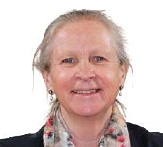 Prosjektleder og seniorforsker Jorunn Nilsen ved forskningsinstituttet Norner. Prosjektleder og seniorforsker Jorunn Nilsen ved forskningsinstituttet Norner.