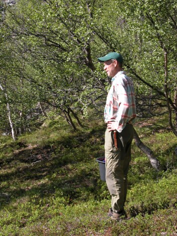 "Rolf Anker Ims på feltarbeid. (Foto: Nigel G. Yoccoz)" "Rolf Anker Ims på feltarbeid. (Foto: Nigel G. Yoccoz)"